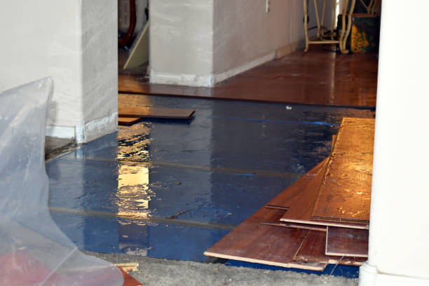 Professional Burst Pipe Water Damage technician working in Northport, WA